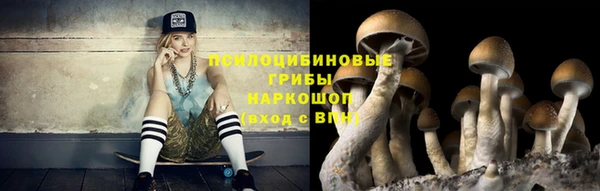 метадон Медвежьегорск