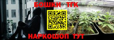 СК Волгодонск