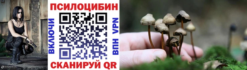 хочу   Волгоград  Псилоцибиновые грибы мицелий 