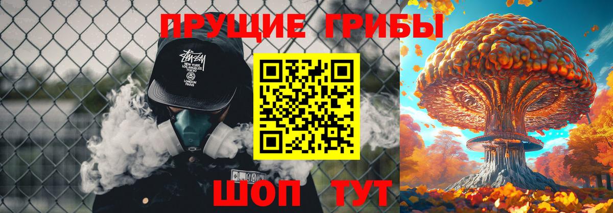 Псилоцибиновые грибы прущие грибы  где купить   Волгоград  Вход с VPN 