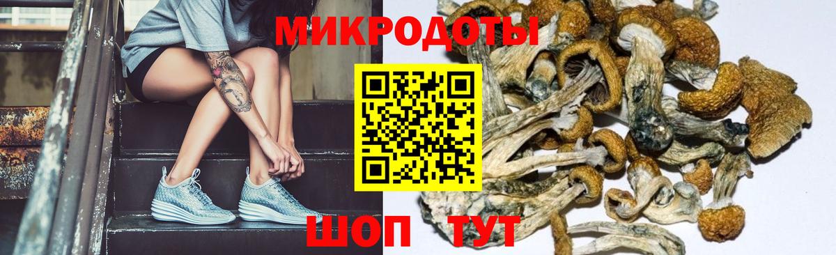 Галлюциногенные грибы GOLDEN TEACHER Волгоград