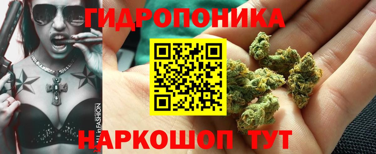 Каннабис семена  Вход с VPN  МАРИХУАНА сатива  Волгоград  Бошки Шишки VHQ  Конопля MAZAR 