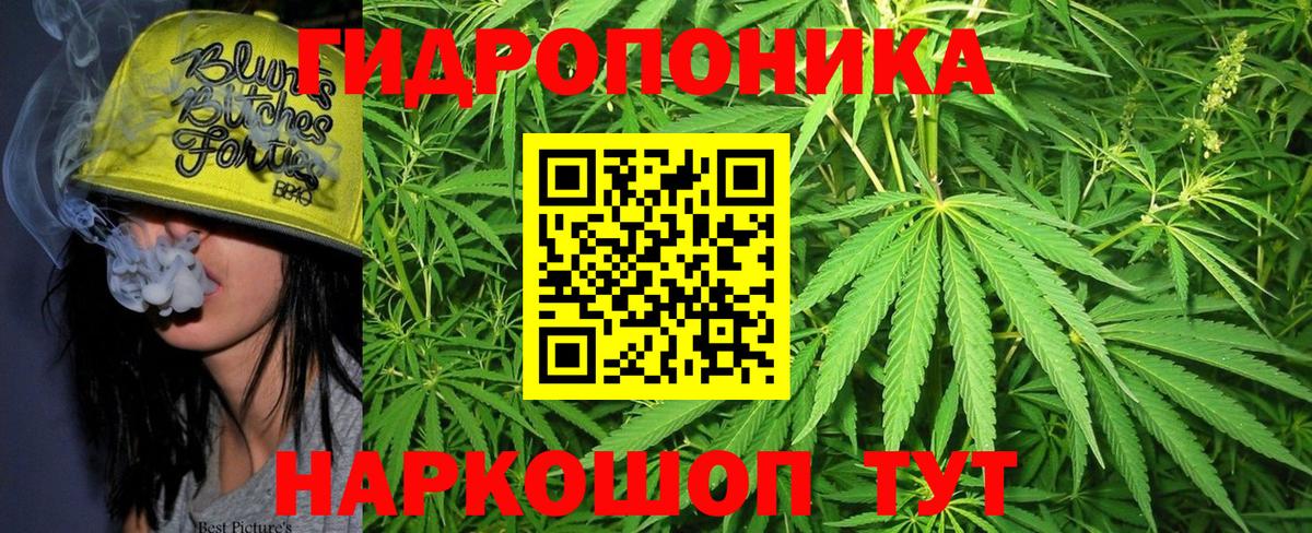 Канабис индика Волгоград